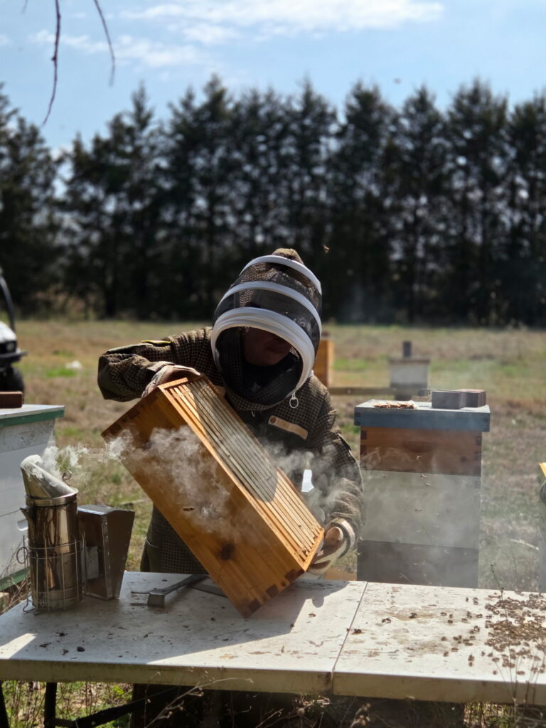 Woman beekeeper with medium box